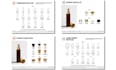 custom product catalog design in canva