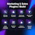 develop a custom wordpress plugin tailored to your specific business need