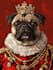 paint stunning pet portrait