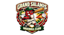 design high quality baseball mascot logo with free source file