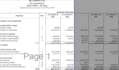 prepare audit ready financial statements and balance sheet