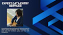 do accurate data entry web research PDF conversion