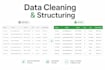 do professional data cleaning and excel data structuring