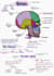 create easy and exam ready medical notes