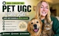 create pet ugc ads for your brand