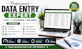do data entry, copy paste, web research and excel tasks