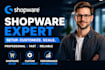 build and develop professional shopware 6 ecommerce store, theme, erp, payment