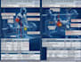 provide a professional systemic biomechanics audit sba