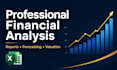 offer professional financial and data analysis services