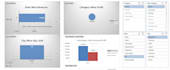 create professional excel dashboards with pivot tables