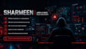 perform a manual web penetration test and security audit