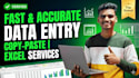 data entry, copy paste, and excel work accurately