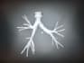 do 3d design from dicom data