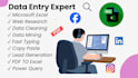 do accurate data entry, excel data entry and web research