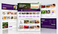 build a custom wordpress website with acf pro and elementor