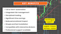 deliver a professional automated trading system with ibkr and python