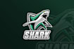design high quality incredible shark logo