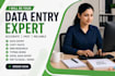 do professional excel data entry and office work