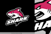 design beautiful high quality custom shark logo