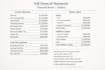 do the financial statement and financial review