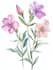 design a botanical illustration