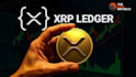 develop xrpl tokens, hooks, and smart contracts on xrp ledger, xrpl bot