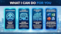professional IT support web and network solutions
