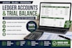 do bookkeeping, ledger accounts and trial balance sheet