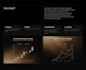 desing or redesign gold analysis website, data analysis saas website, web ux