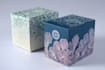 design professional food packaging design