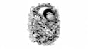 design custom tattoo art