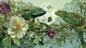 draw an animal and botanical illustrations