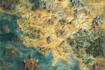 create creative illustrated city and location maps