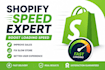 provide advanced speed optimization for your shopify store