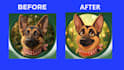 transform your pet into a viral cartoon avatar