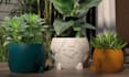 design a 3d printed vase for you