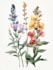 draw botanical food illustration art