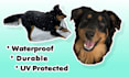 turn your pets in to cute durable stickers