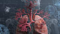 draw detailed medical illustrations