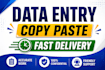 do fast and accurate data entry, copy paste and excel work
