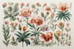do a botanical illustration