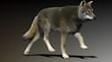do any 3d animal model 3d animation 3d creature 3d character animation cgi fx