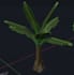 make stud fruits and trees