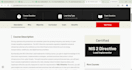 fix html css bugs and responsive issues in your website
