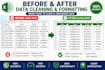 clean, format and organize excel data professionally