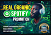 do spotify music promotion, music promotion