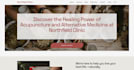 design a bespoke squarespace site for your brand