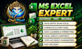 fast data entry, typing, PDF to word, excel work