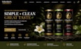 design, develop and optimize a professional business website