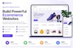 build a professional and responsive ecommerce website
